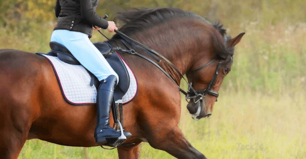 What Are the Key Features of a Good Quality Horse Riding Boot?
