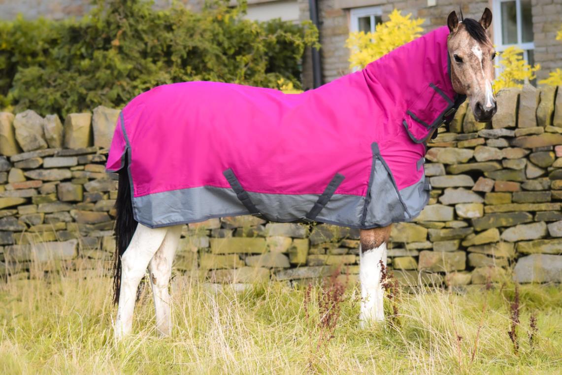 What Makes Tack24's Lightweight Turnout Rugs Stand Out?