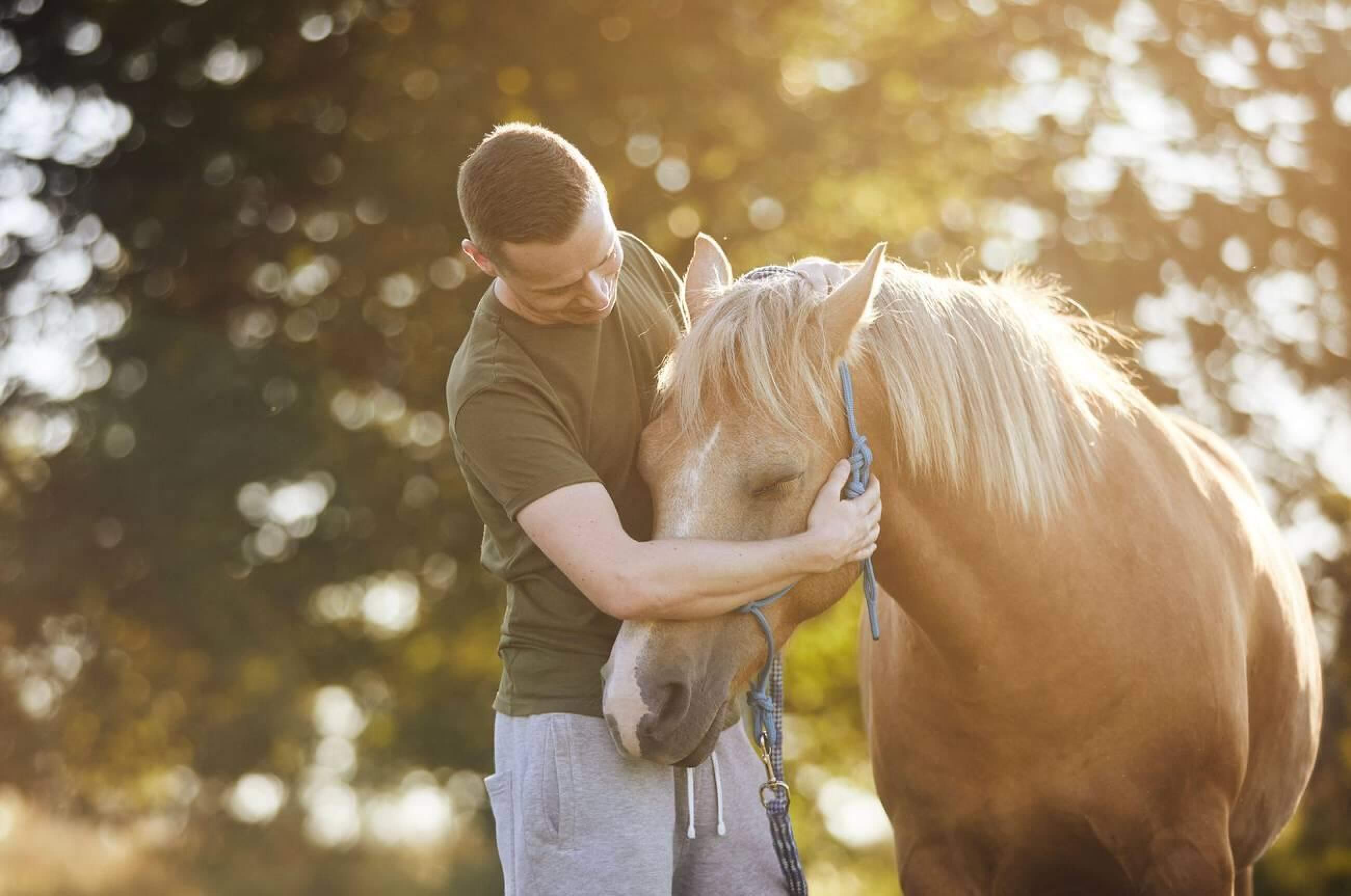 Horse Rug Guide: 5 Creative Ways to Solve Horse Care