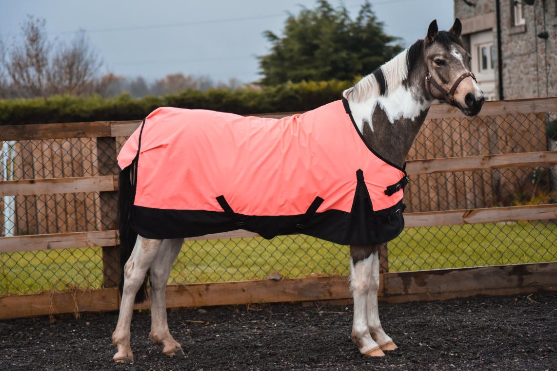 Lightweight Horse Turnout Rainsheet Waterproof 600D Ripstop Orange/Black 5'6-6'9 - Tack24