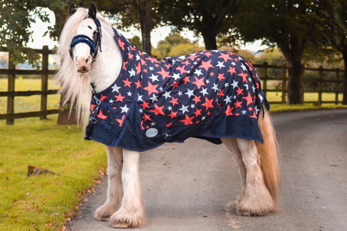 Winter 600D Turnout Horse Rugs 50g HALF Neck Xtra Thick Navy White Star 5'3-6'9 - Tack24