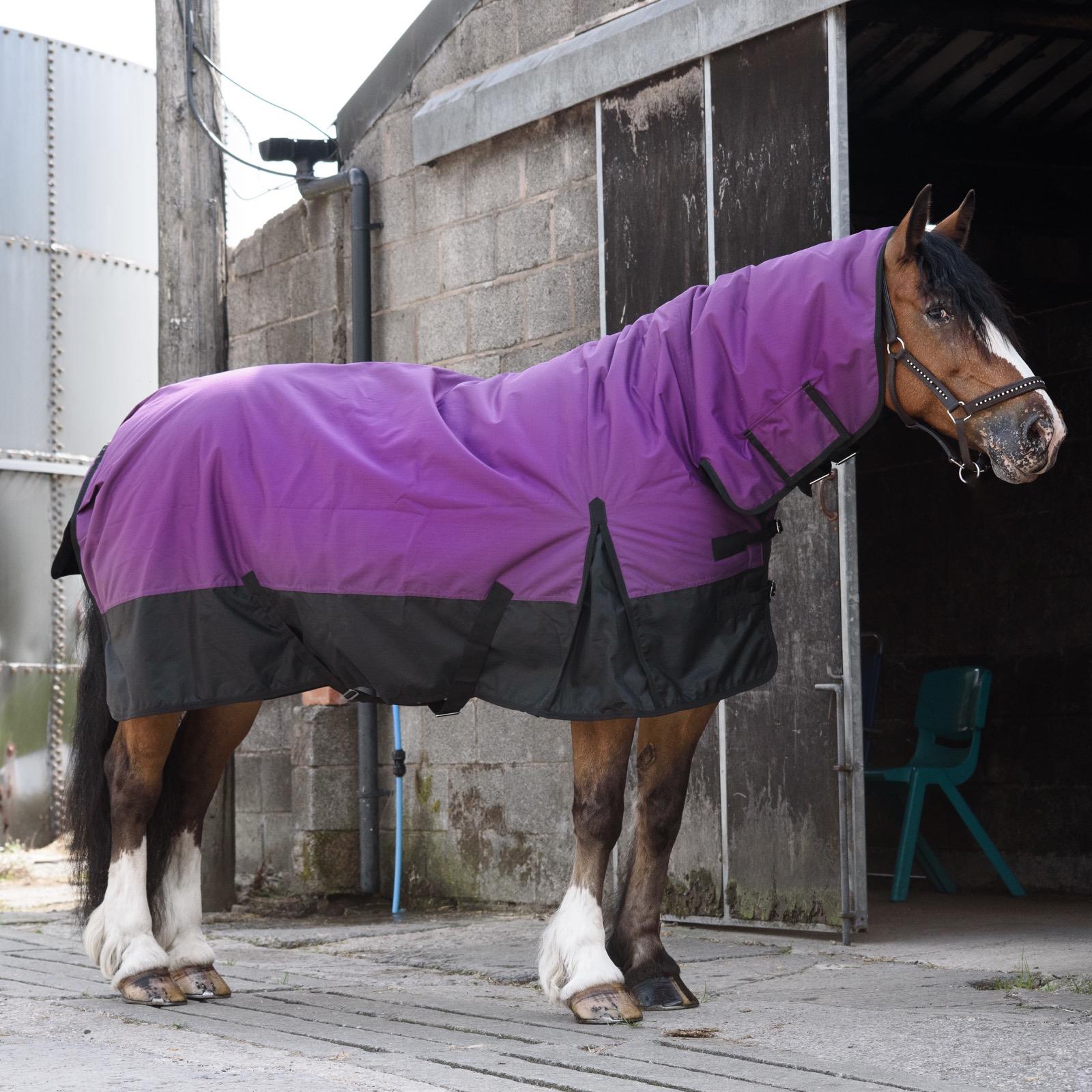 600D Outdoor Winter Turnout Horse Rugs 350G Fill Combo Neck Purple/Black 5'3-6'9 - Tack24