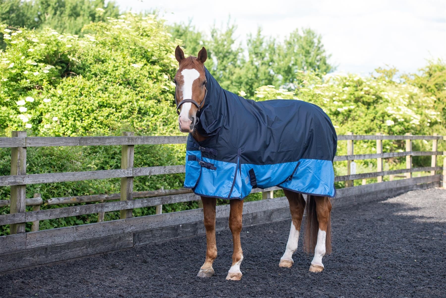 600D Outdoor Winter Turnout Horse Rugs 50G Fill COMBO Full Neck Navy/Baby Blue 5'6-6'9 - Tack24