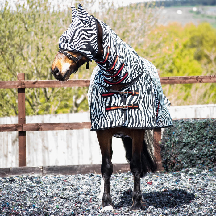 Combo Mesh Fly Rug + Fly Mask Wide Belly & Tail Flap All in One Zebra 5'3-6'9 - Tack24