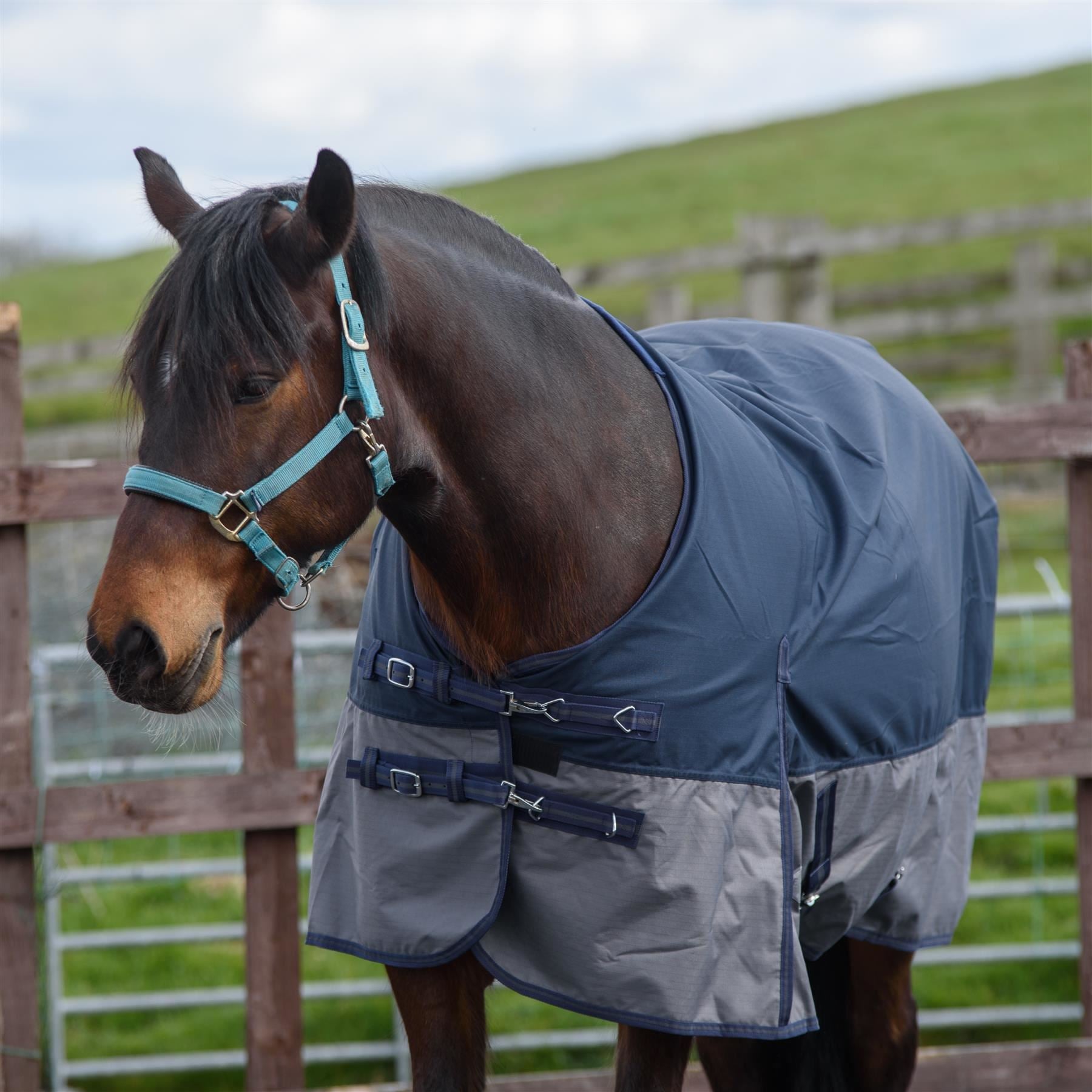 600D Outdoor Winter Turnout Horse Rugs Waterproof 50G Fill Navy/Grey 5'6-6'9 - Tack24