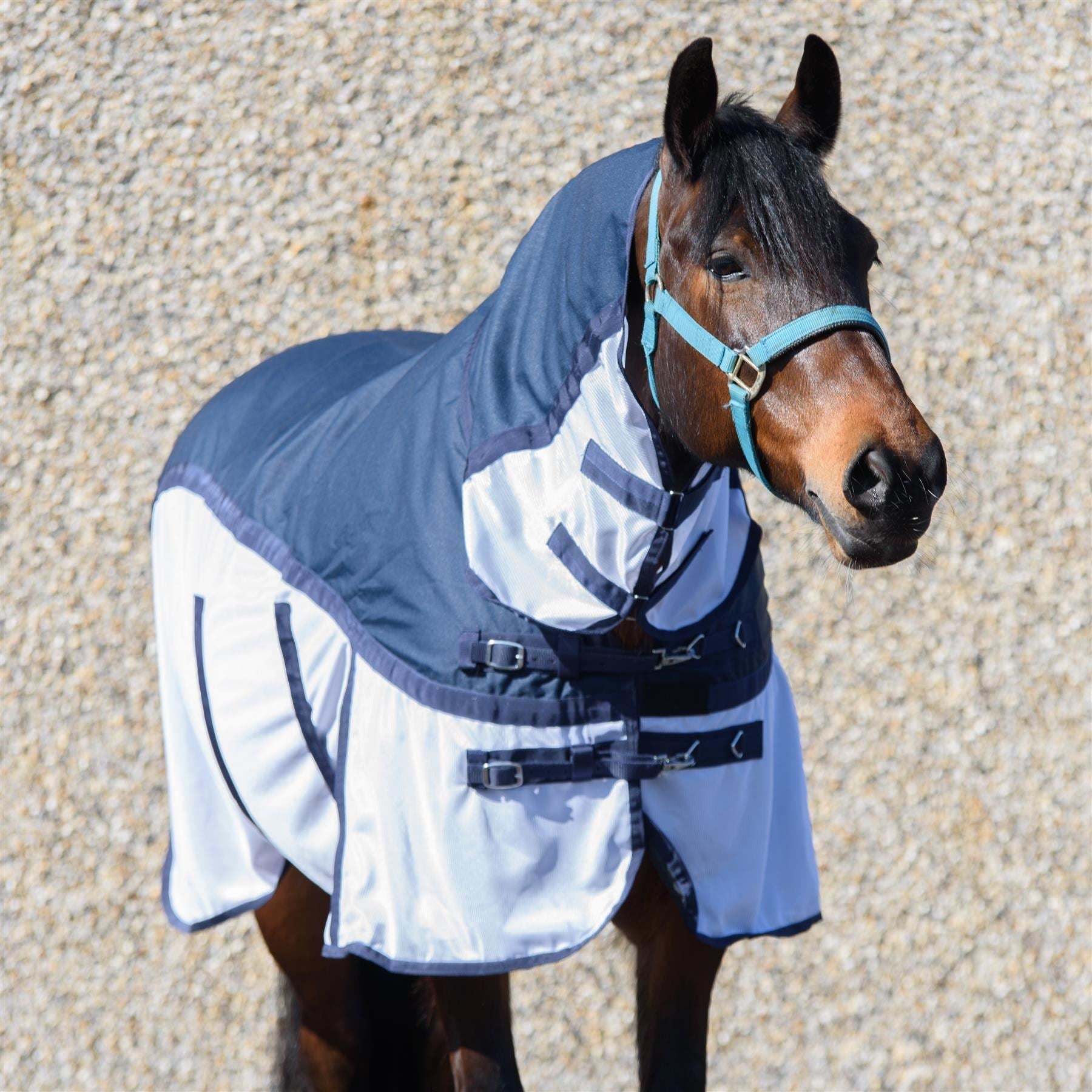 600D Lightweight 2 in 1 Combo Neck Fly Rugs for Horses Adjust Chest Belly 10Clrs - Tack24
