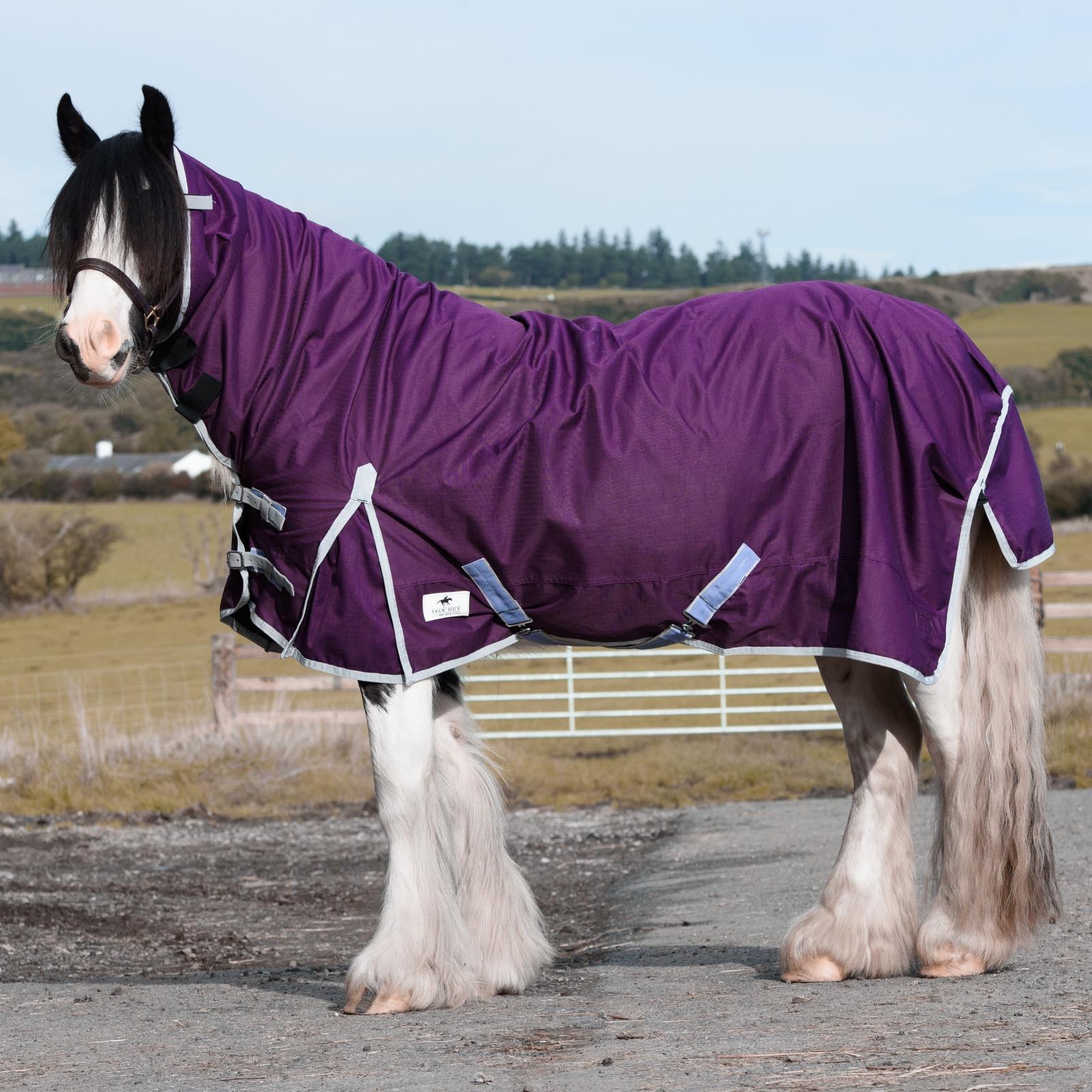 600D Outdoor Mediumweight Turnout 50G Fill COMBO Thermo Horse Rug Plum 5'6-6'9 - Tack24