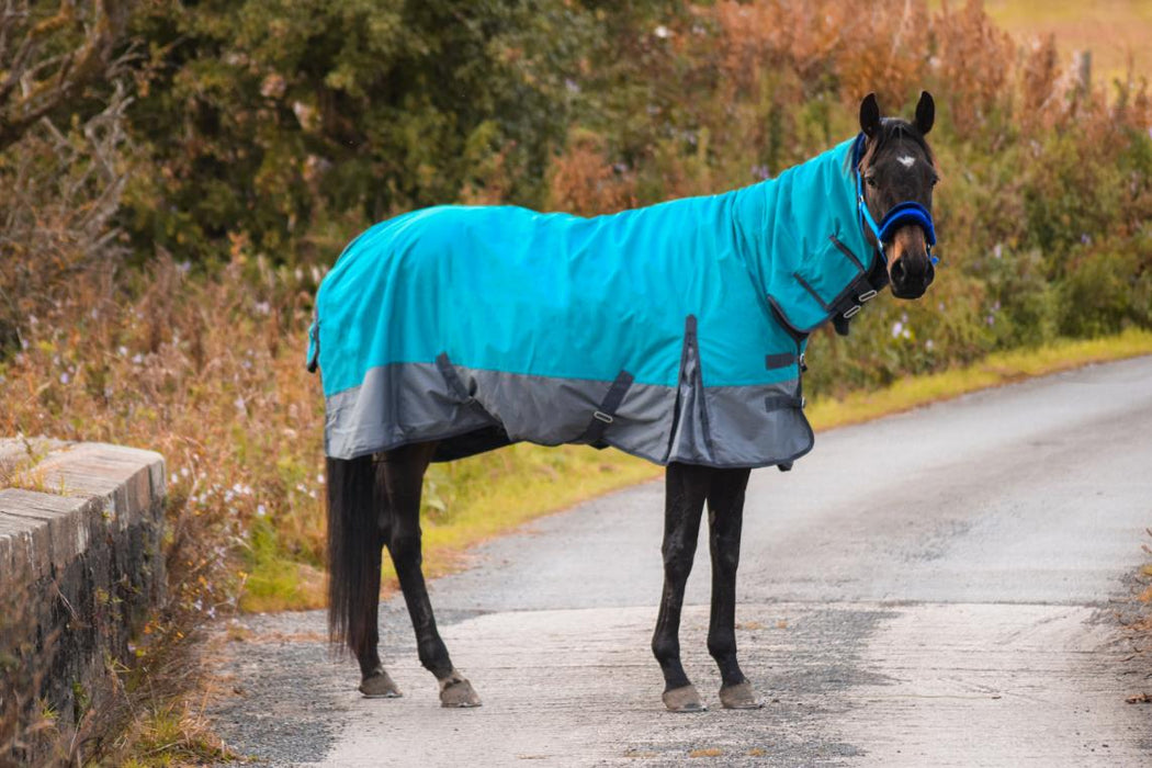 Outdoor Winter Turnout Horse Rugs 50g COMBO Full Neck Aqua/Grey 5'3-6'9 - Tack24