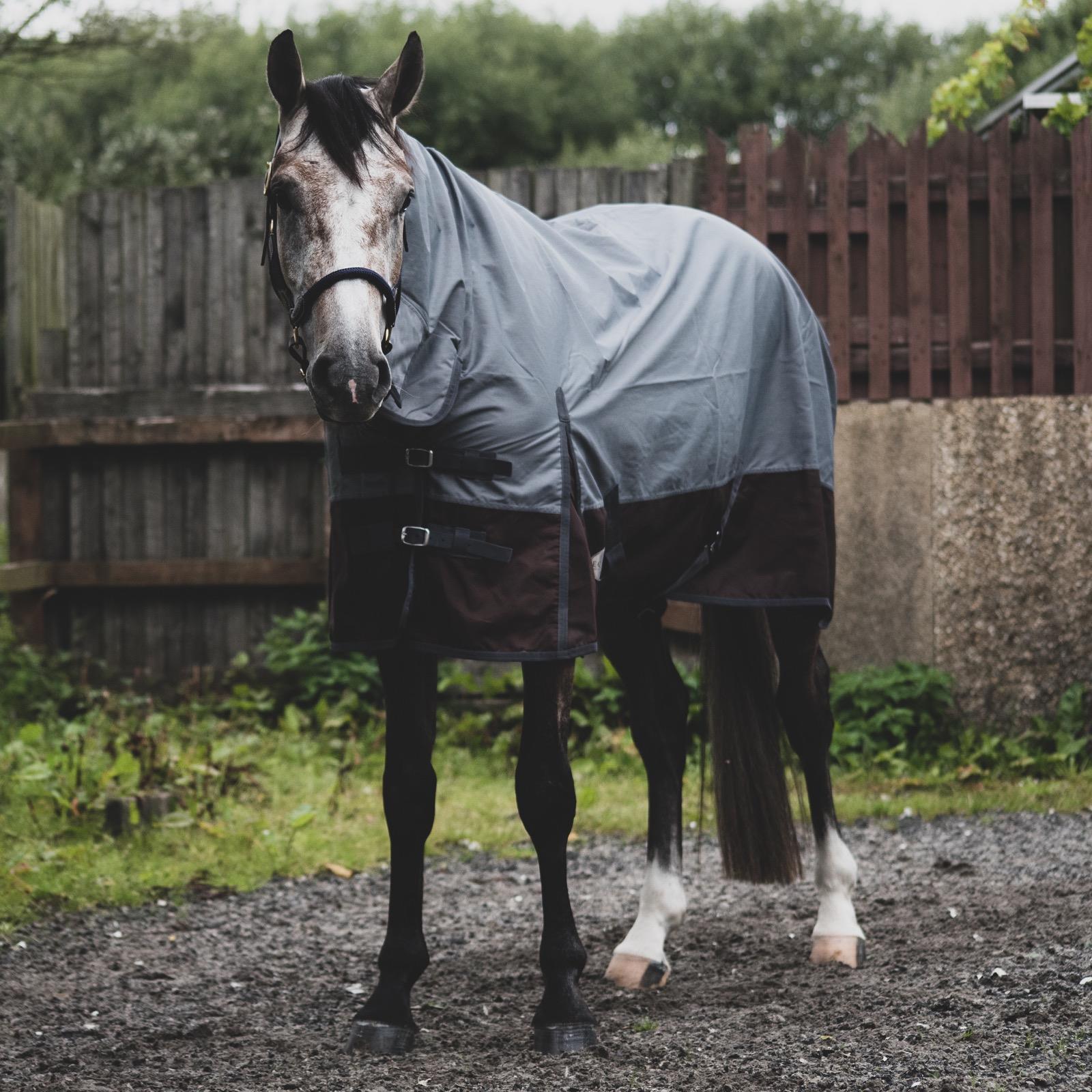 600D Lightweight Turnout Horse Rug Waterproof Combo Full Neck Grey/Brown 5'3 -6'9 - Tack24