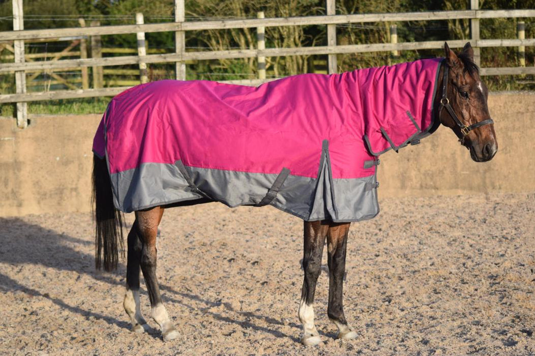 Outdoor Horse Turnout Durable Combo Neck Field 50g Rug Raspberry/Grey 5'3-6'9 - Tack24
