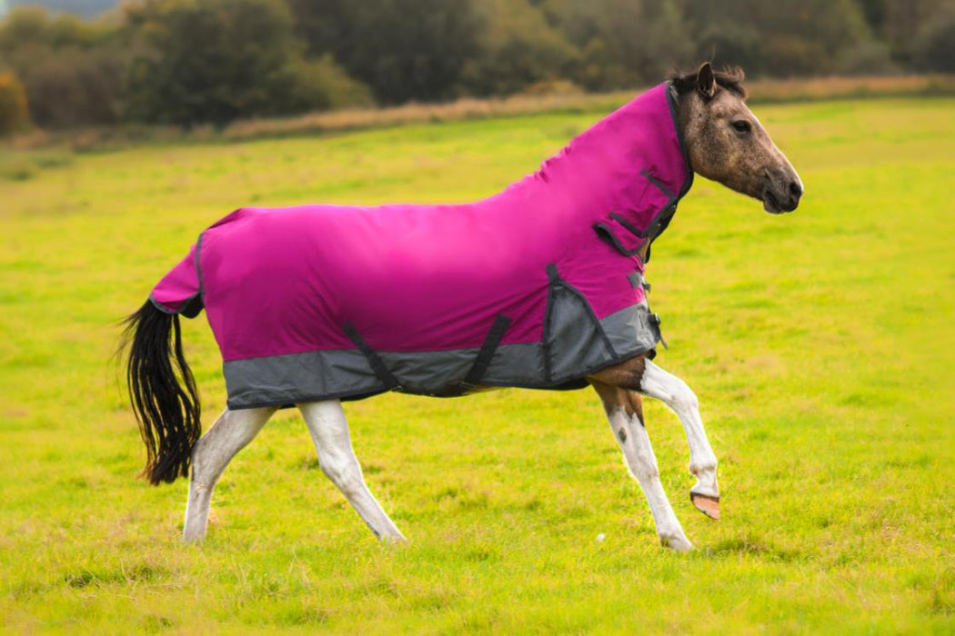 600D Heavyweight Turnout Horse Rugs 250G Fill Combo Neck Raspberry/Grey 5'3-6'9 - Tack24