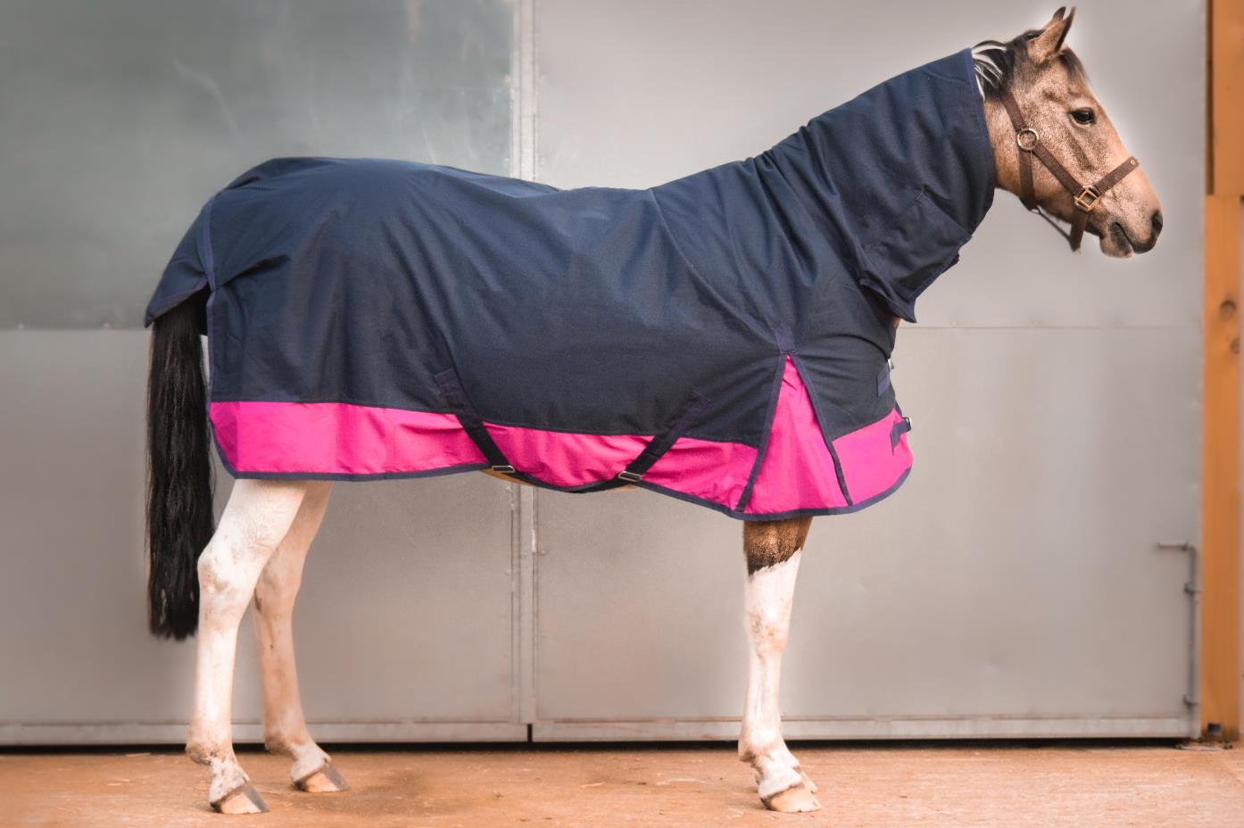 1200D Winter Turnout Horse Rugs 50g Filling COMBO Neck Navy/Raspberry 5'3-6'9 - Tack24