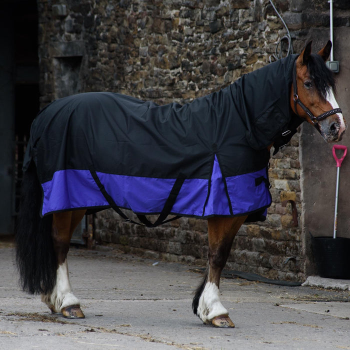 600D Outdoor Winter Turnout Horse Rugs 50G Fill COMBO Full Neck Black/Purple 5'3-6'9 - Tack24