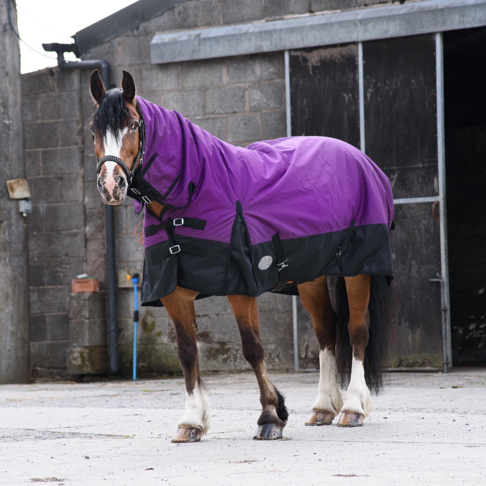 600D Outdoor Winter Turnout Horse Rugs 350G Fill Combo Neck Purple/Black 5'3-6'9 - Tack24