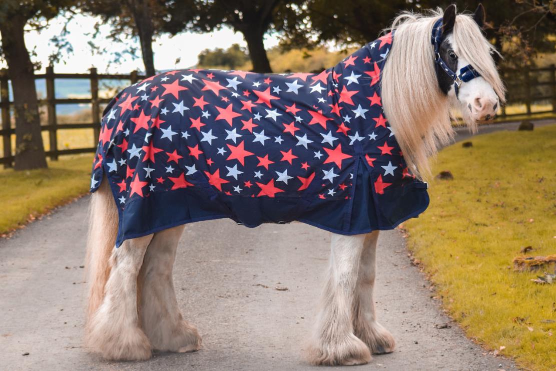 Winter 600D Turnout Horse Rugs 50g HALF Neck Xtra Thick Navy White Star 5'3-6'9 - Tack24
