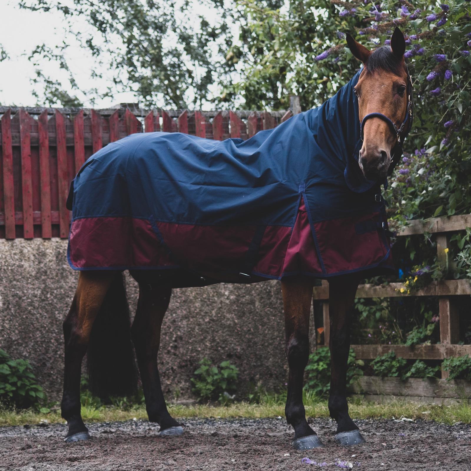 600D Outdoor Winter Turnout Horse Rugs 350G Fill Combo Neck Navy/Burgundy 5'3-6'9 - Tack24