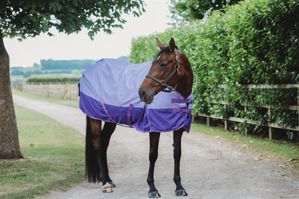 600D Outdoor Winter Turnout Horse Rugs Waterproof 50G Fill Lavender/Purple 5'6-6'9 - Tack24