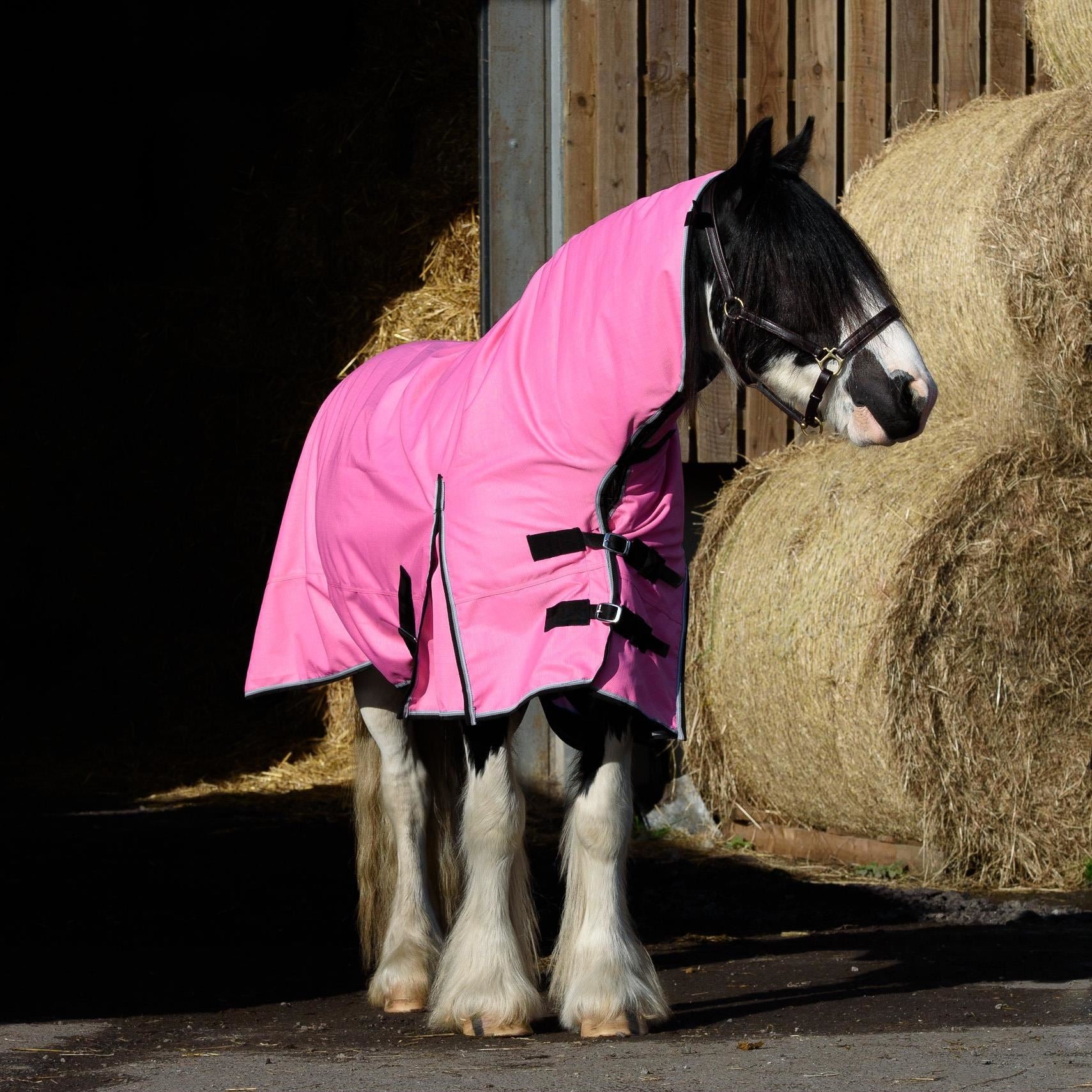 1200D Outdoor Winter Turnout Horse Rugs 50G Fill Combo Neck Teflon Pink 5'3-6'9 - Tack24
