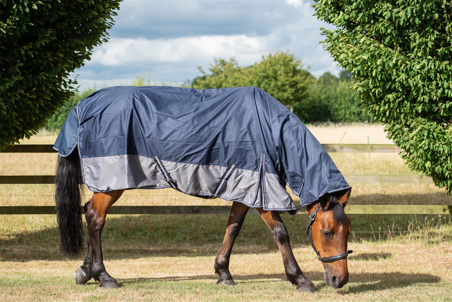 600D Outdoor Winter Turnout Horse Rugs 50G Fill COMBO Full Neck Navy/Grey - Tack24
