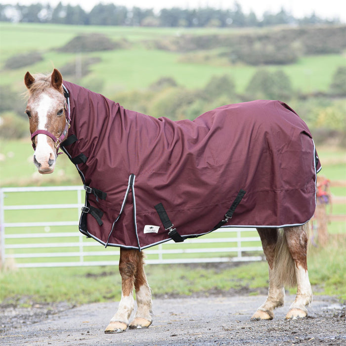 600D Outdoor Mediumweight Turnout 50G Fill COMBO Thermo Horse Rug Red 5'6-6'9 - Tack24