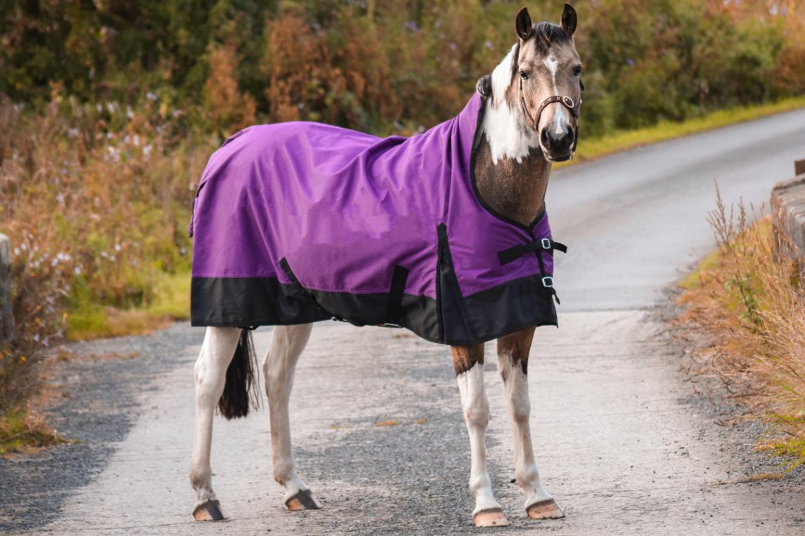 Outdoor Mediumweigt Turnout Horse Rugs 100g HALF Neck Tefln Purple/Black 5'3-6'9 - Tack24