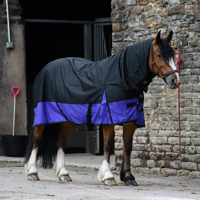 600D Outdoor Winter Turnout Horse Rugs 50G Fill COMBO Full Neck Black/Purple 5'3-6'9 - Tack24