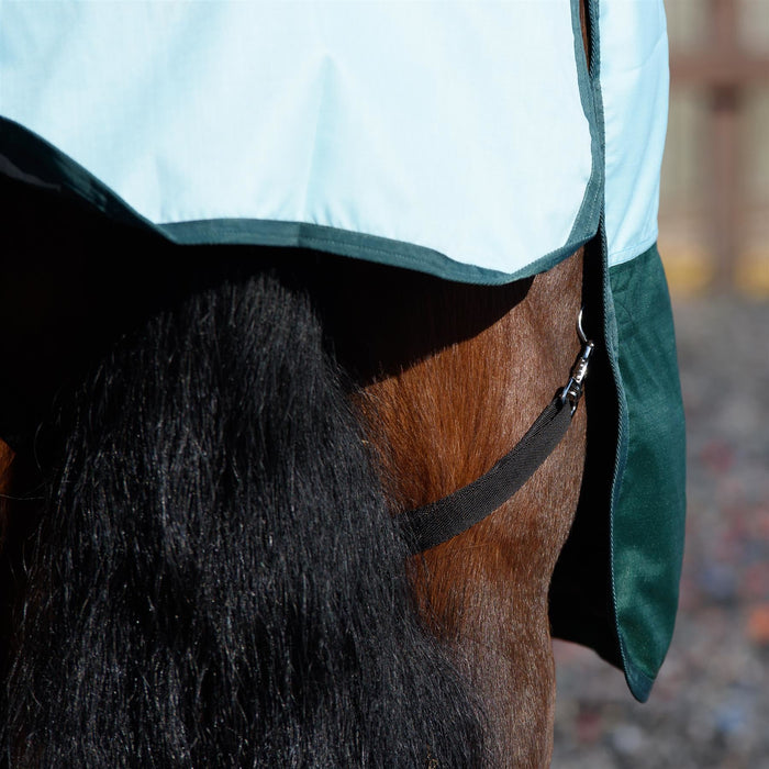 Outdoor 600 Denier Winter Autumn Turnout Horse Rugs 100gsm Regular Neck 5 Colors