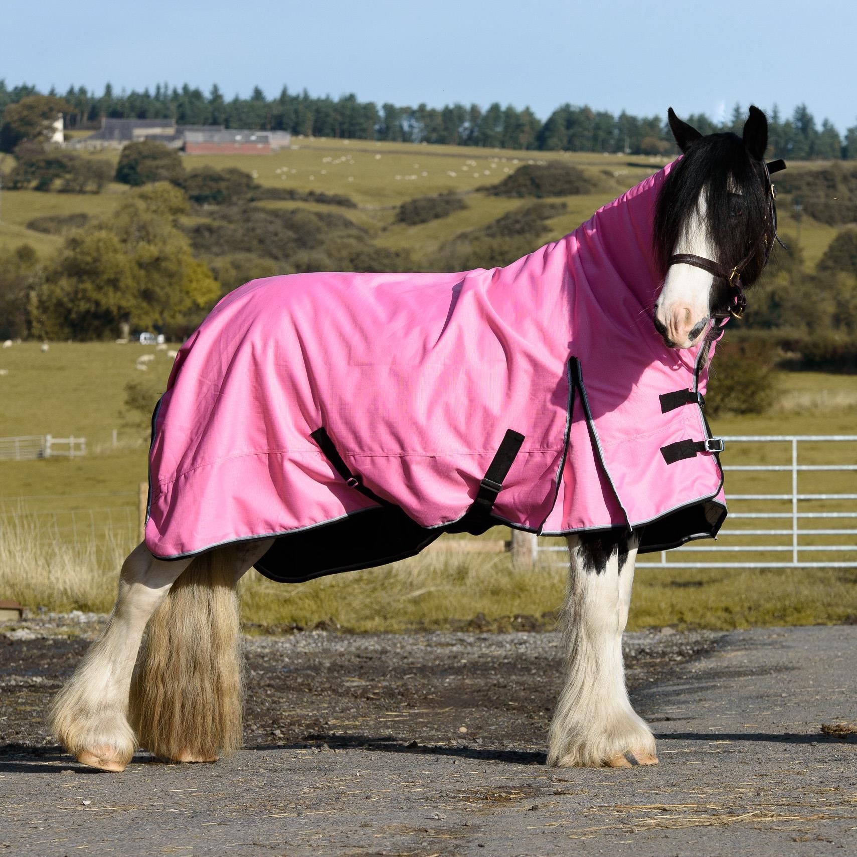 1200D Outdoor Winter Turnout Horse Rugs 100G Fill Combo Neck Teflon Pink 5'3-6'9 - Tack24