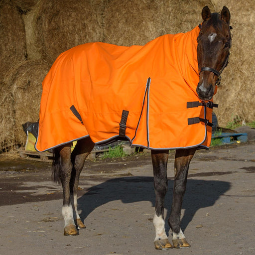 1200D Outdoor Winter Turnout Horse Rugs 50G Fill Combo Neck Teflon Orange 5'3-6'9 - Tack24