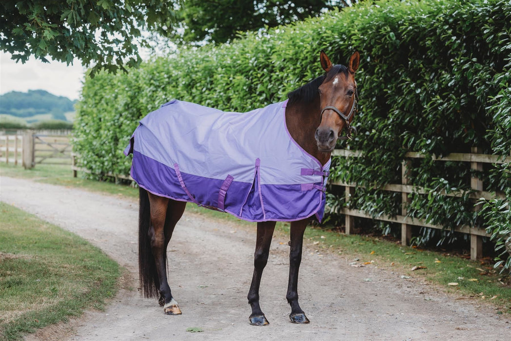 600D Outdoor Winter Turnout Horse Rugs Waterproof 50G Fill Lavender/Purple 5'6-6'9 - Tack24