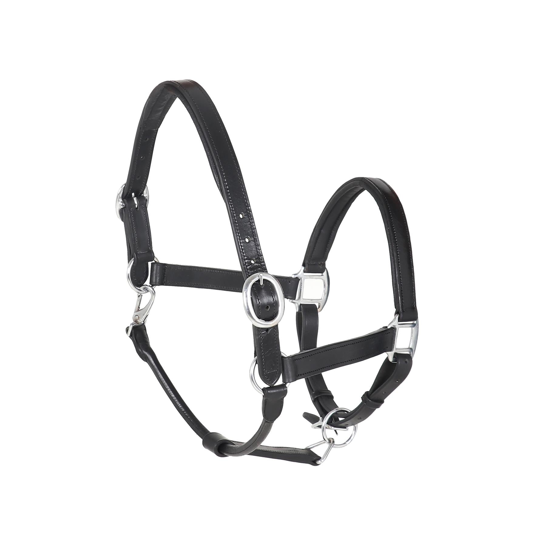 Padded Leather Headcollar Halters Adjustable Stable Black Brown Tan in 6 Sizes - Tack24