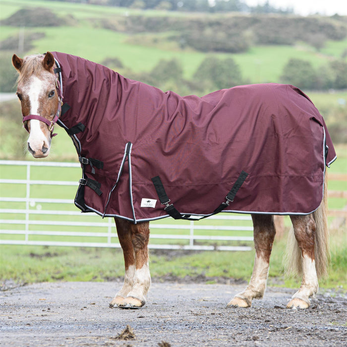 1200D Outdoor Winter Turnout Horse Rugs 100G Fill Combo Neck Teflon Red 5'3-6'9 - Tack24