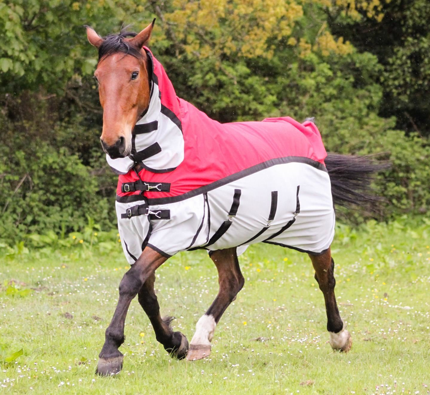 600D Lightweight 2 in 1 Combo Neck Fly Rugs for Horses Adjust Chest Belly 10Clrs - Tack24