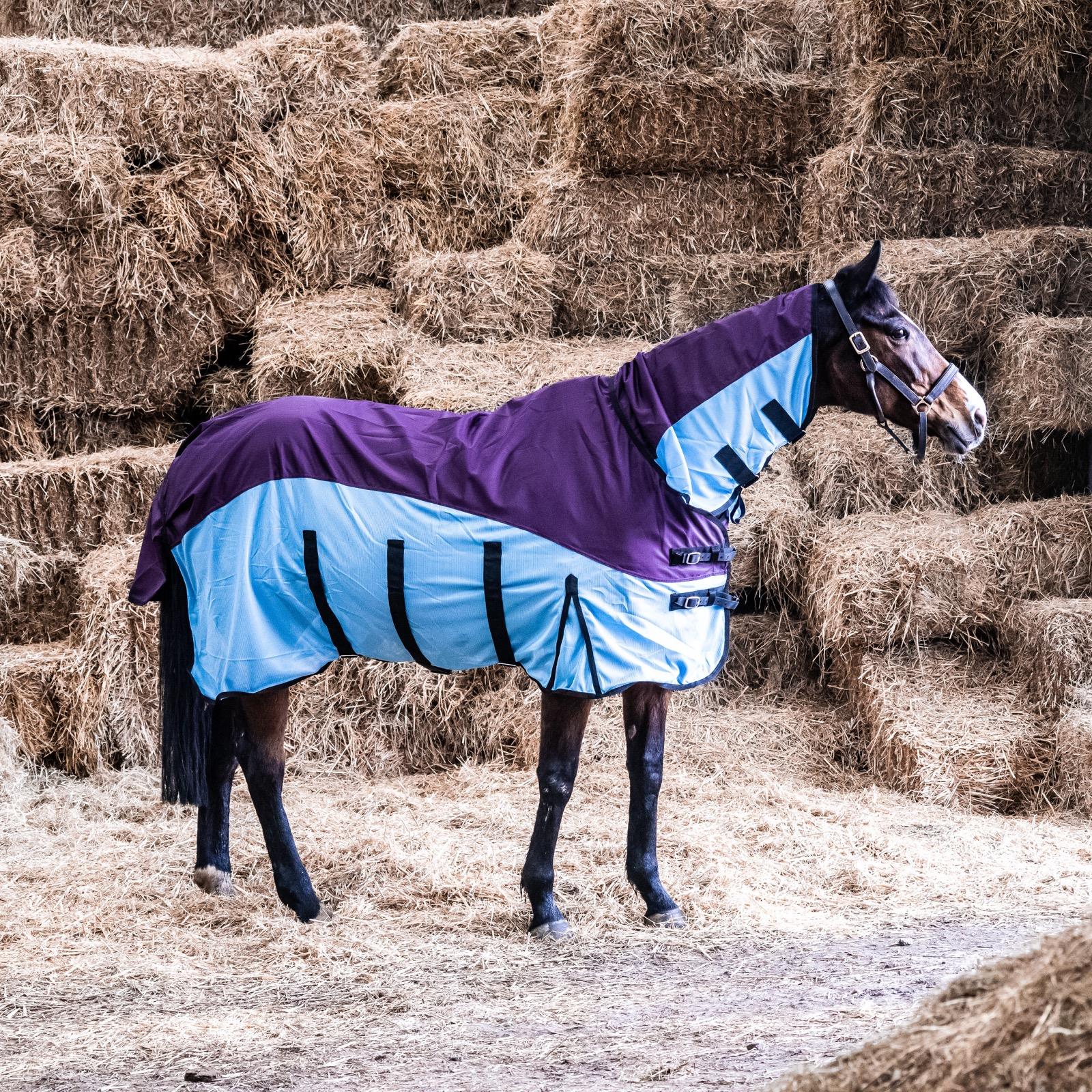600D 2 in 1 Waterproof Fly Turnout Mesh Horse Rug Fixed Neck Burgundy/Blue 5'6-6'9 - Tack24