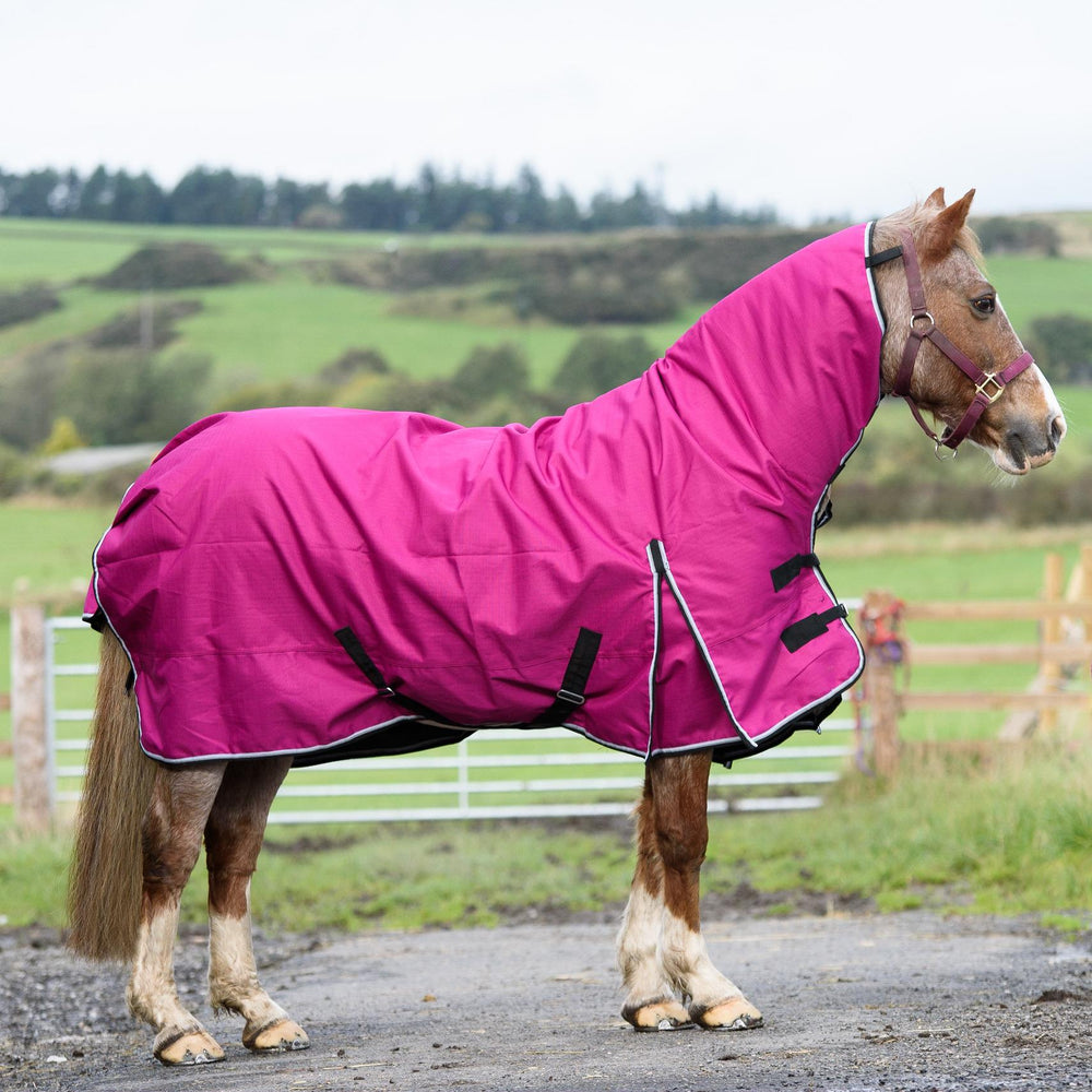 1200D Outdoor Winter Turnout Horse Rugs 50G Fill Combo Teflon Raspberry 5'3-6'9 - Tack24