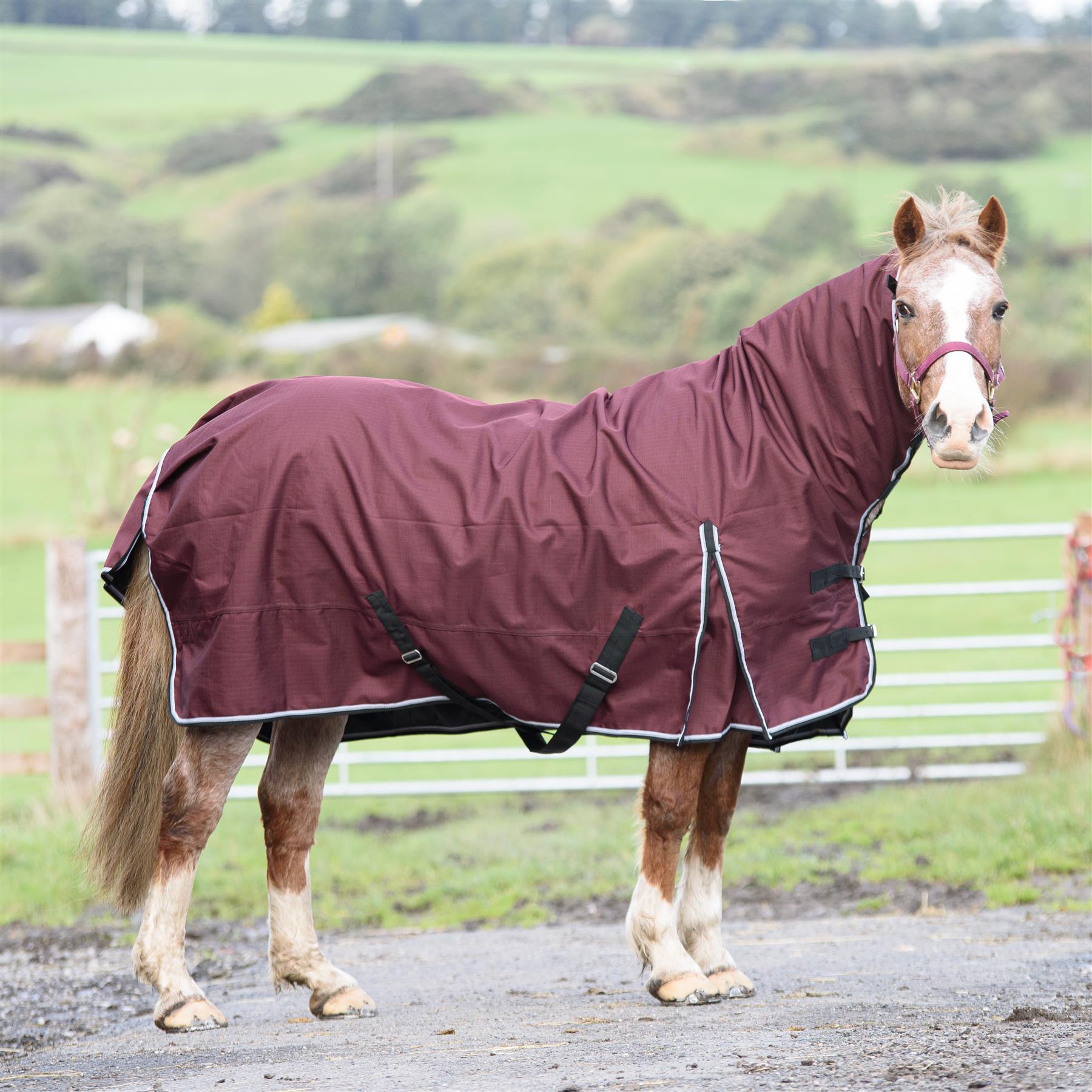 1200D Outdoor Winter Turnout Horse Rugs 50G Fill Combo Neck Teflon Red 5'3-6'9 - Tack24