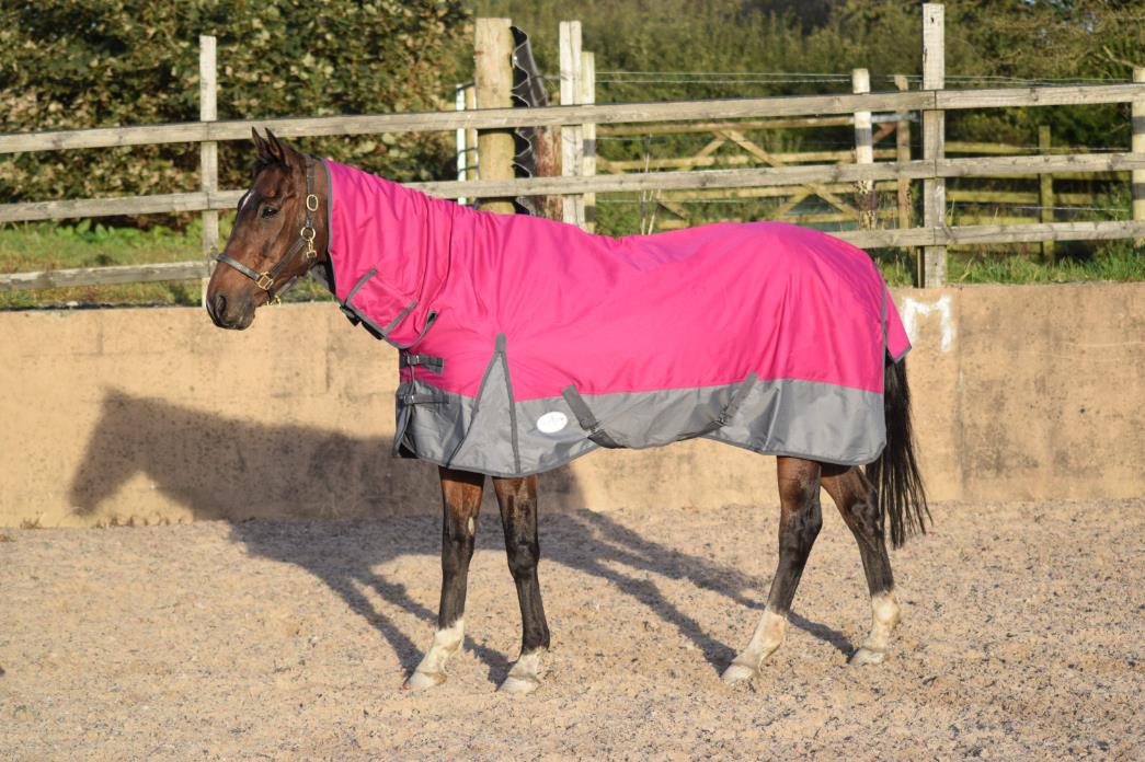 600D Mediumweight Turnout Horse Rug 150g COMBO Thermo Raspberry/Grey 5'3-6'9 - Tack24
