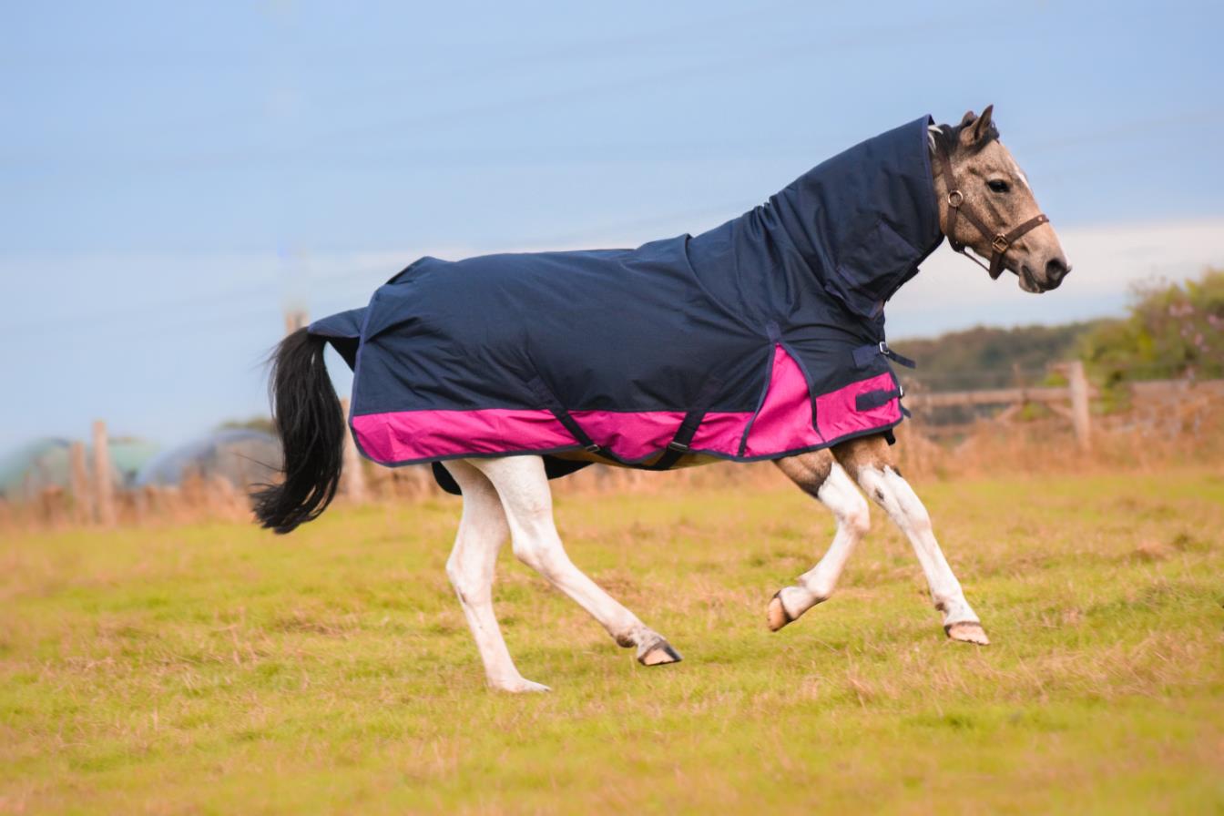 Outdoor Winter 600 Denier Turnout Horse Rugs 150G Combo Navy/Raspberry 5'3-6'9 - Tack24
