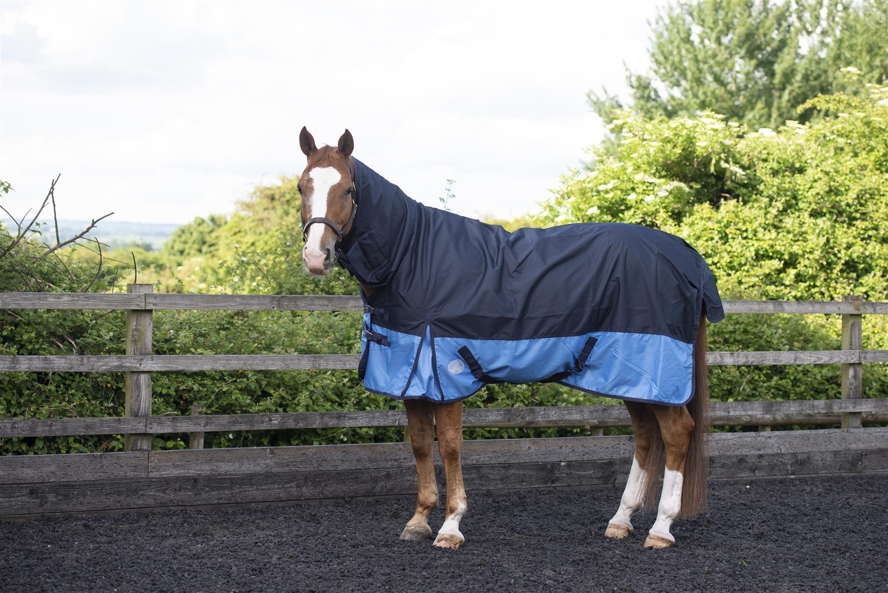 600D Lightweight Turnout Horse Rug Waterproof Combo Full Neck Navy/Baby Blue 5'6 -6'9 - Tack24