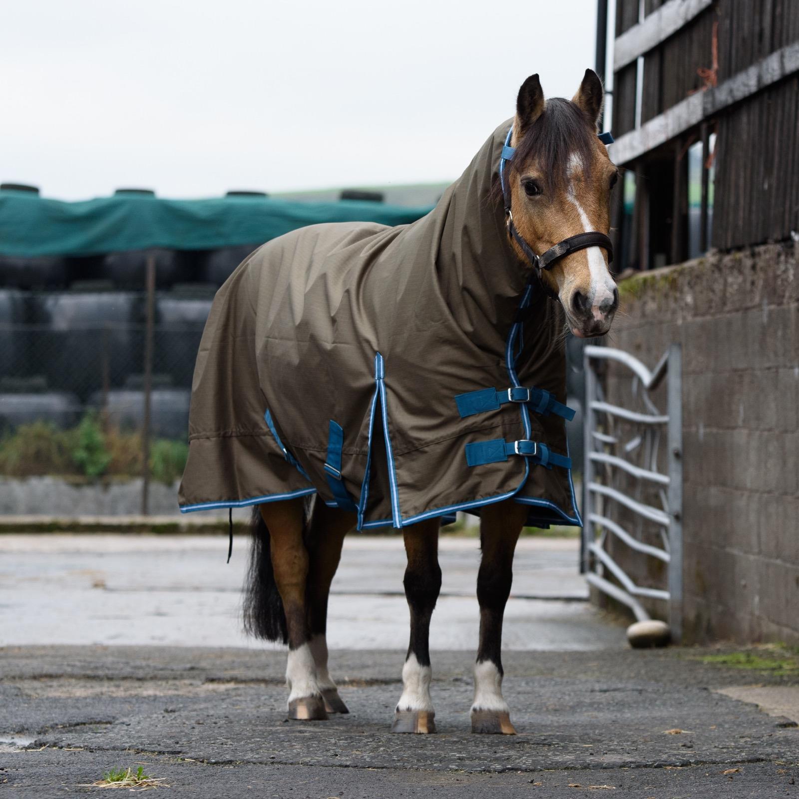 1200D Outdoor Winter Turnout Horse Rugs 100G Fill Combo Neck Tefon Brown 5'3-6'9 - Tack24