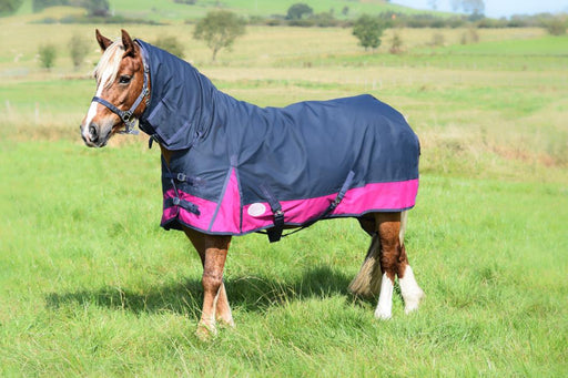 Outdoor Winter 600 Denier Turnout Horse Rugs 150G Combo Navy/Raspberry 5'3-6'9 - Tack24