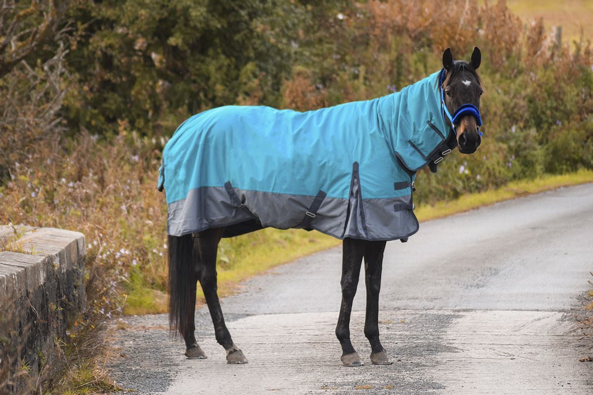 Outdoor Winter Turnout Horse Rugs 50g COMBO Full Neck Aqua/Grey 5'3-6'9 - Tack24