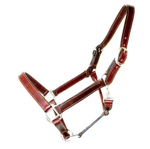 Padded Leather Headcollar Halters Adjustable Stable Black Brown Tan in 6 Sizes - Tack24