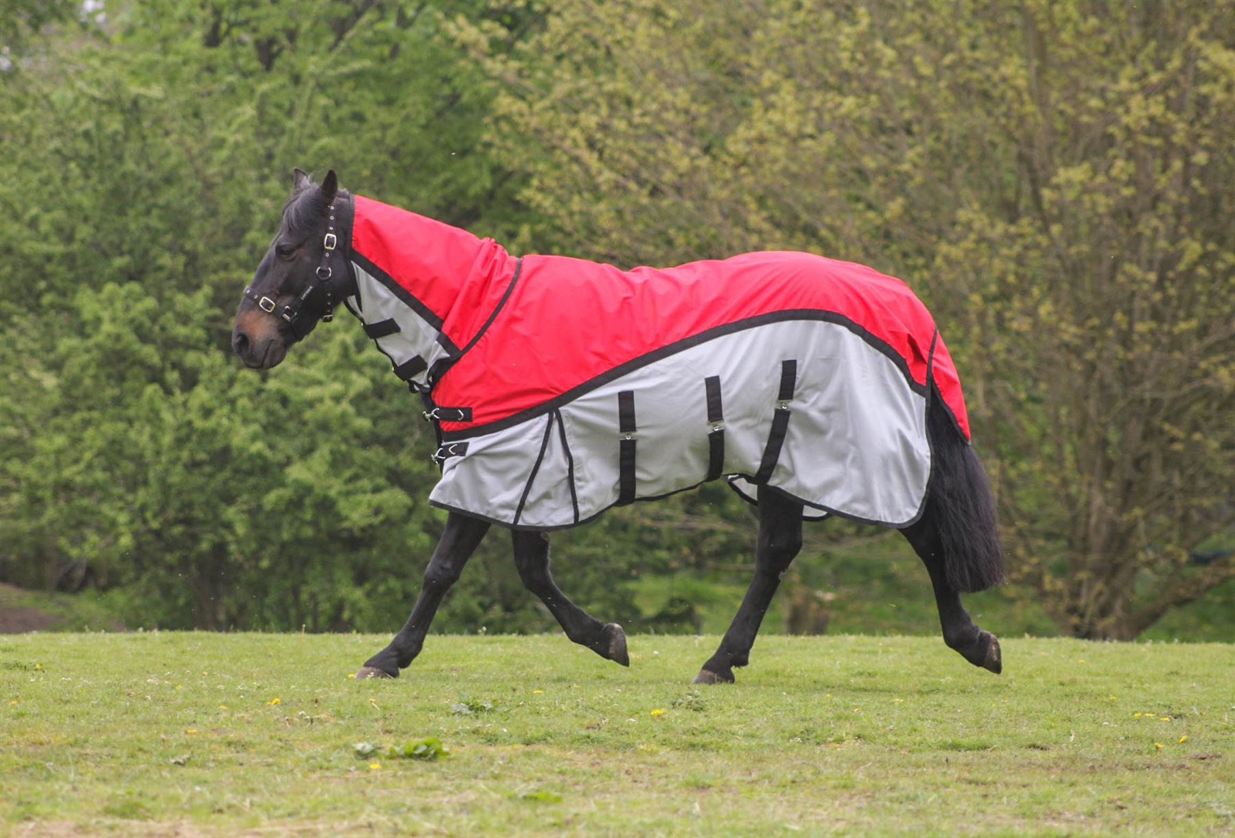 600D 2 in 1 Waterproof Fly Turnout Mesh Horse Rug Fixed Neck Red/Grey 5'6-6'9 - Tack24