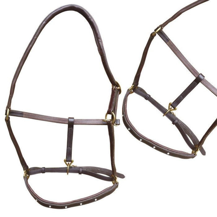 Horse Padded Leather Headcollar Fully Adjustable Diamond Stud Brown Full Cob - Tack24
