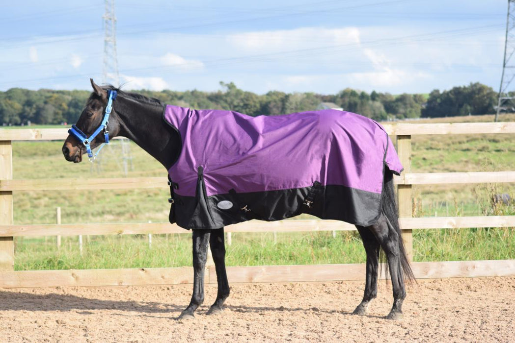 Outdoor Mediumweigt Turnout Horse Rugs 100g HALF Neck Tefln Purple/Black 5'3-6'9 - Tack24