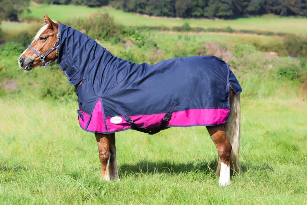 Winter Thermo 250g Turnout Horse Rugs Combo Full Neck Navy/Raspberry 4'6-7'3 - Tack24