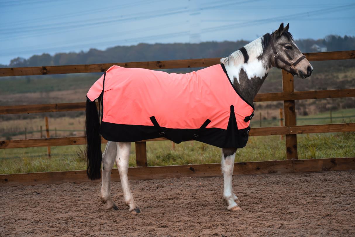 Lightweight Horse Turnout Rainsheet Waterproof 600D Ripstop Orange/Black 5'6-6'9 - Tack24