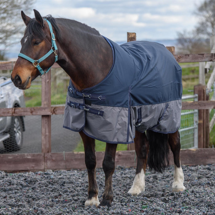 600D Outdoor Winter Turnout Horse Rugs Waterproof 50G Fill Navy/Grey 5'6-6'9 - Tack24