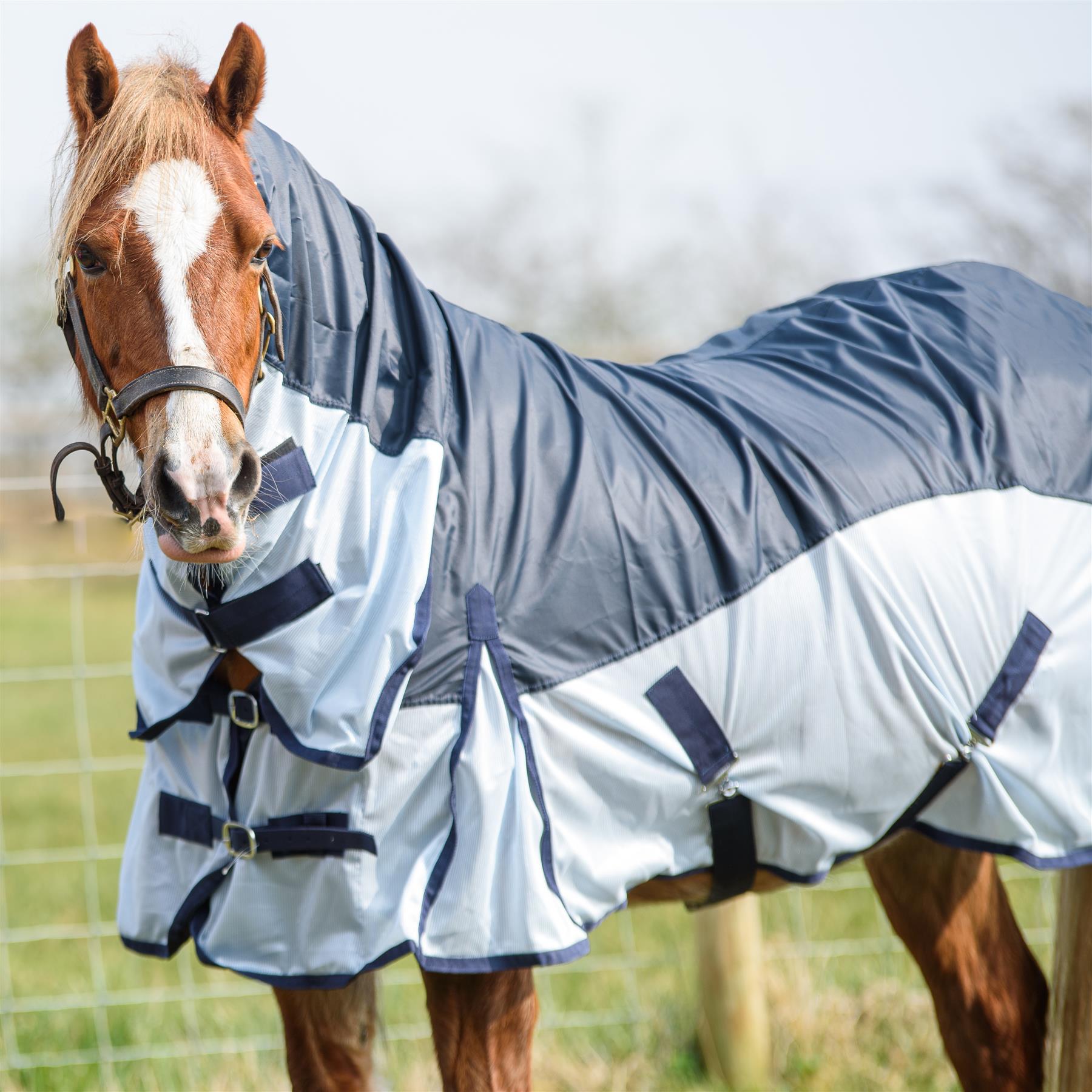 420D 2 in 1 Waterproof Fly Turnout Mesh Horse Rug Fixed Neck Navy/Blue 5'6-6'9 - Tack24